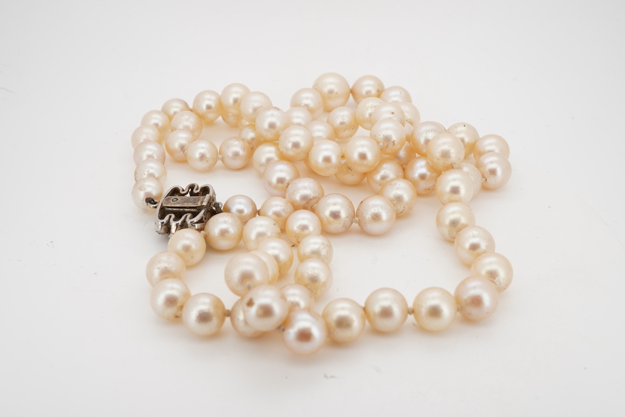 A single strand cultured pearl necklace, with white metal clasp set with two rows of graduated diamonds with a diamond chip border, 72cm.